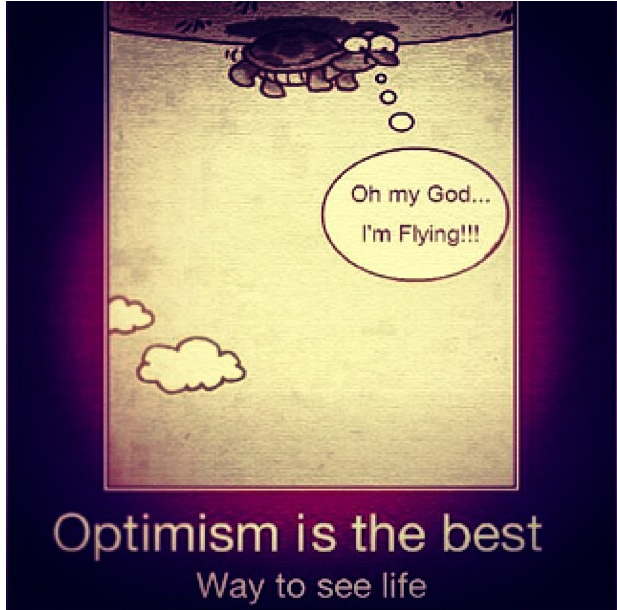 Optimism