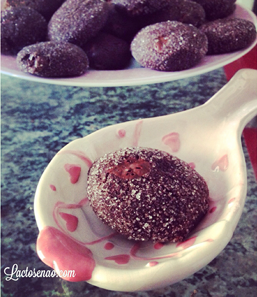 cookies-chocolate-sem-gluten-sem-lactose