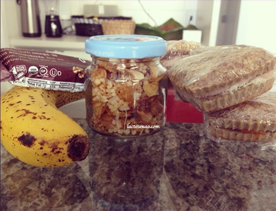 marmita-saudavel-sem-lactose-sem-gluten1