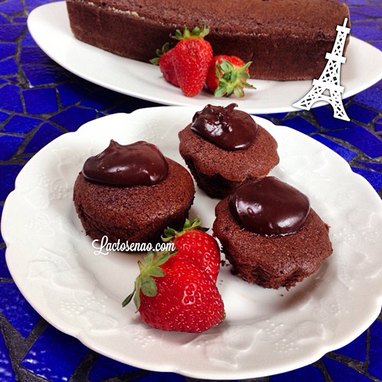 gateau-au-chocolat-sem-gluten-lactose