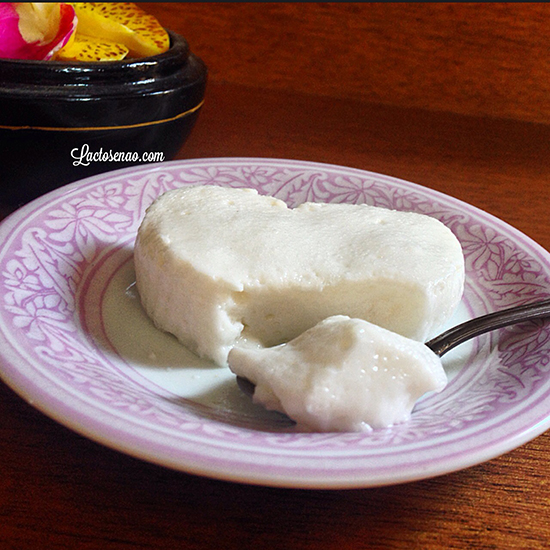 flan-coco-sem-lactose