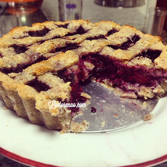 torta-frutas-vermelhas-sem-gluten-lactose-acucar