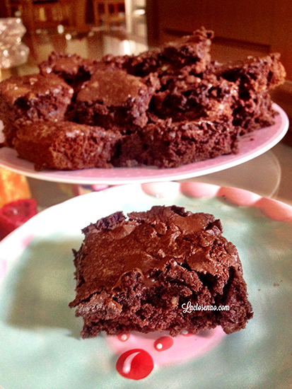 brownie-sem-gluten-lactose