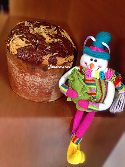chocotone-sem-gluten-sem-lactose