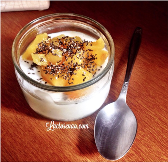 pudim-tapioca-vegano-sem-lactose