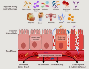 Leaky gut