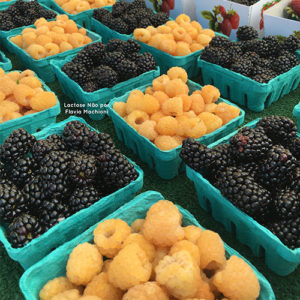 farmers-market